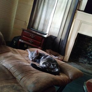 Meet your Posher, Tonya